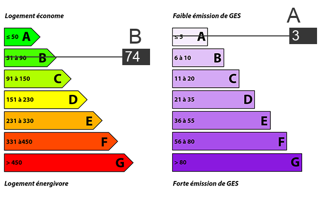 afficher / cacher le diagnostic